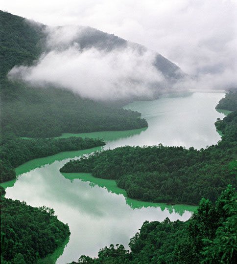 在乎的是沿途的风景