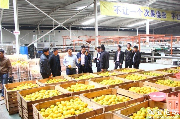 亚马逊等电商平台的专业培训