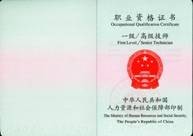 本站按公开材料组织页面