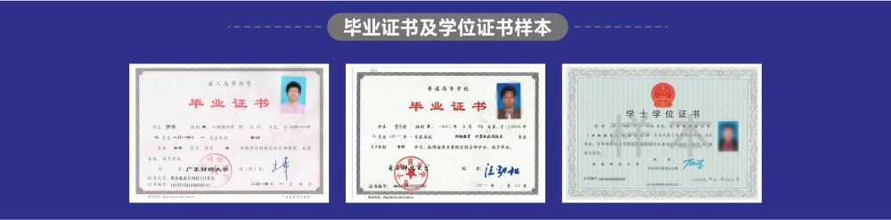 本站按公开材料组织页面
