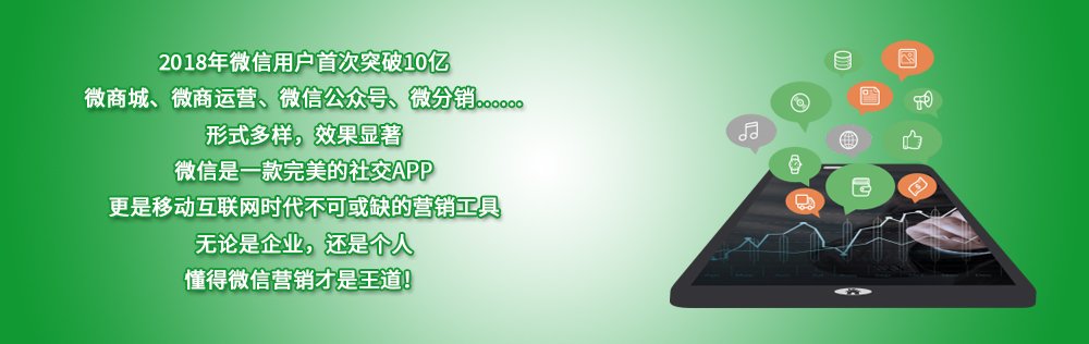 全日制 周末班