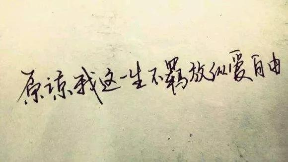 对照阅读