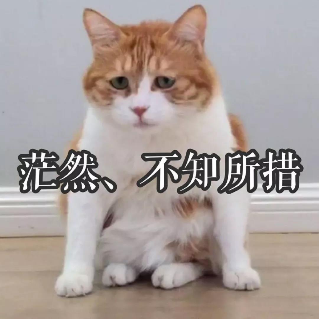 我们就来聊聊职场中的那些成长思维